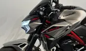 Kawasaki Z900 Performance 2023