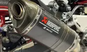 Kawasaki Z900 Performance 2023