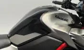 Kawasaki Z900 Performance 2023