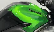 Kawasaki Z900 Performance 2026