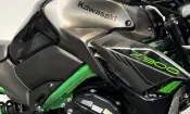 Kawasaki Z900 2024