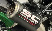 Kawasaki Z900 2024