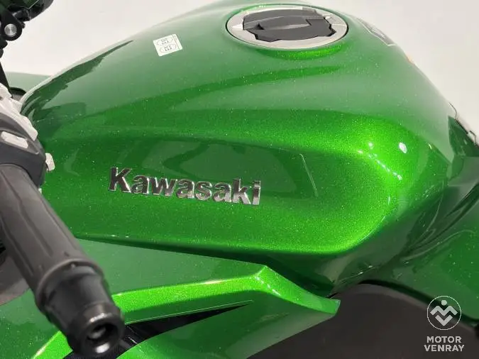 Kawasaki Ninja 1100 SX SE 2025