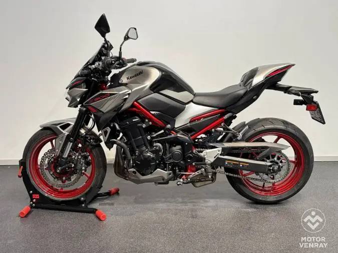 Kawasaki Z900 Performance 2023