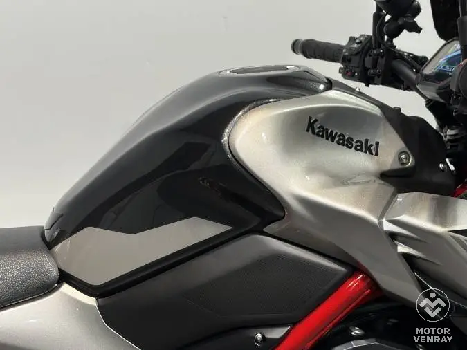 Kawasaki Z900 Performance 2023