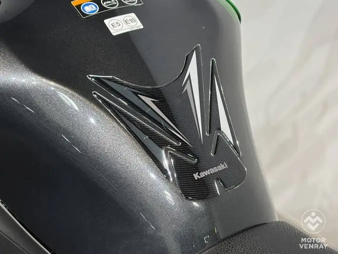 Kawasaki Z900 Performance 2026
