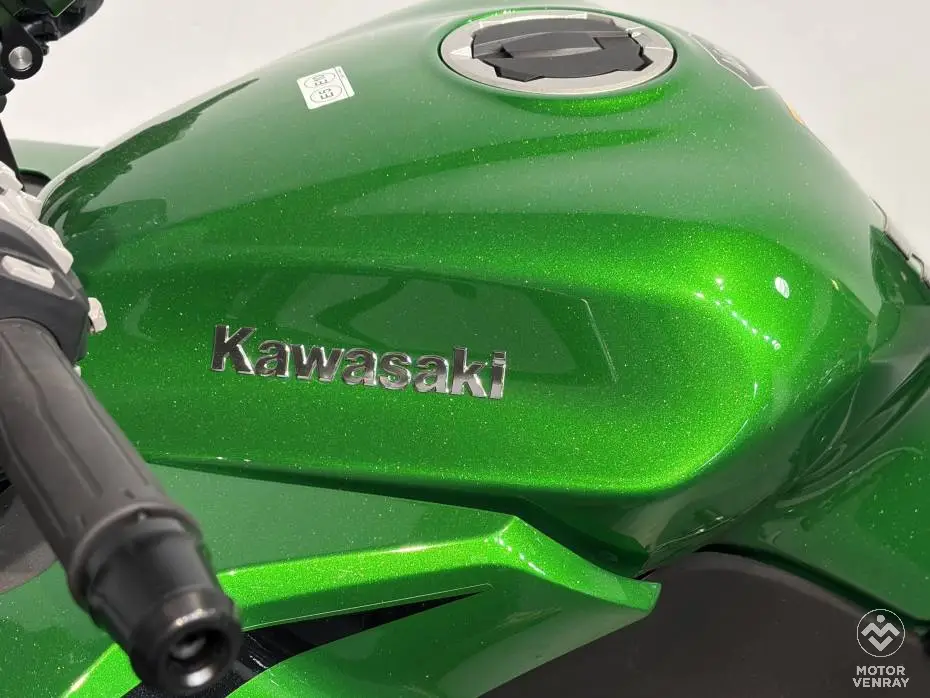 Kawasaki Ninja 1100 SX SE 2025
