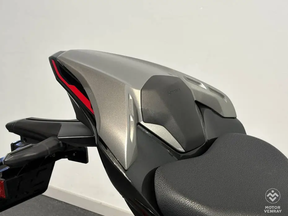 Kawasaki Z900 Performance 2023