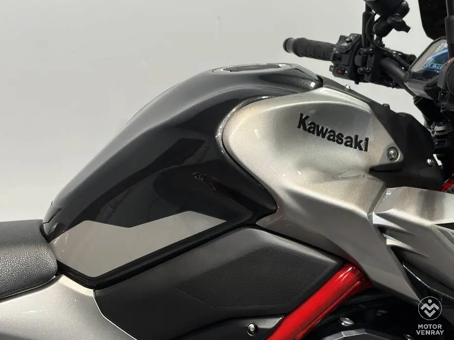 Kawasaki Z900 Performance 2023