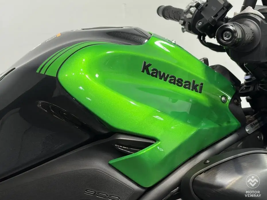 Kawasaki Z900 Performance 2026