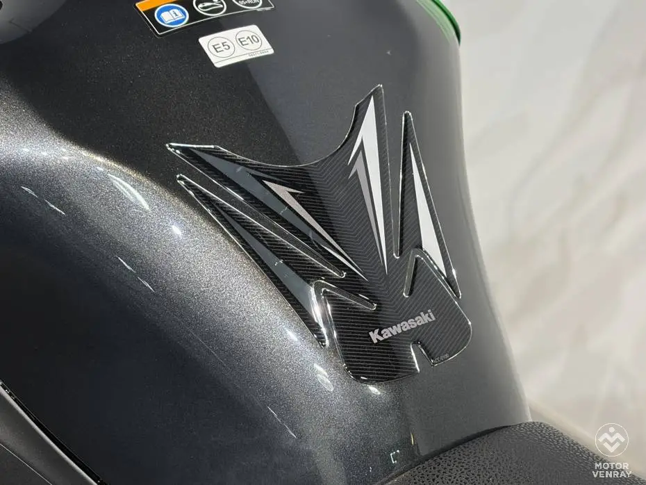 Kawasaki Z900 Performance 2026