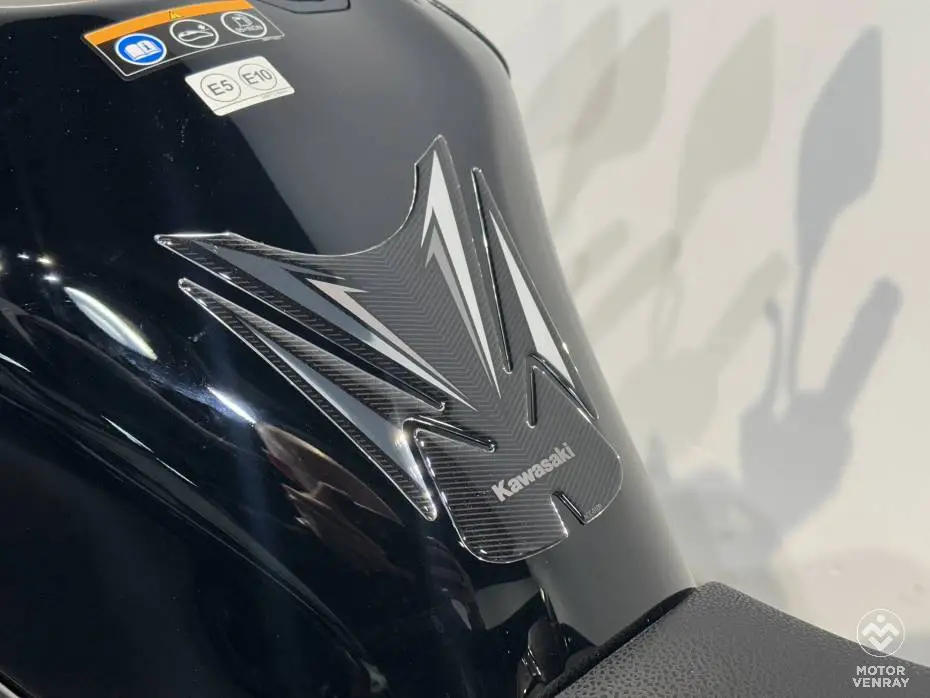 Kawasaki Z900 Performance 2026
